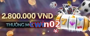 cwin02