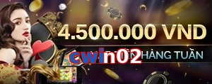 cwin02