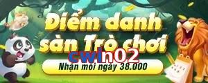 cwin02