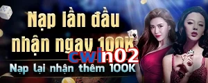cwin02