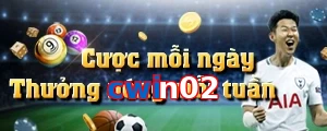 cwin02